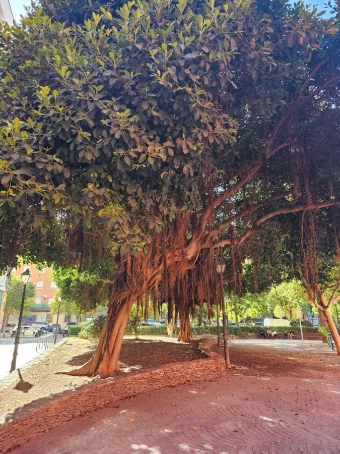 דירות ולנסיה Lounge Garden Sea Mint Fresh מראה חיצוני תמונה